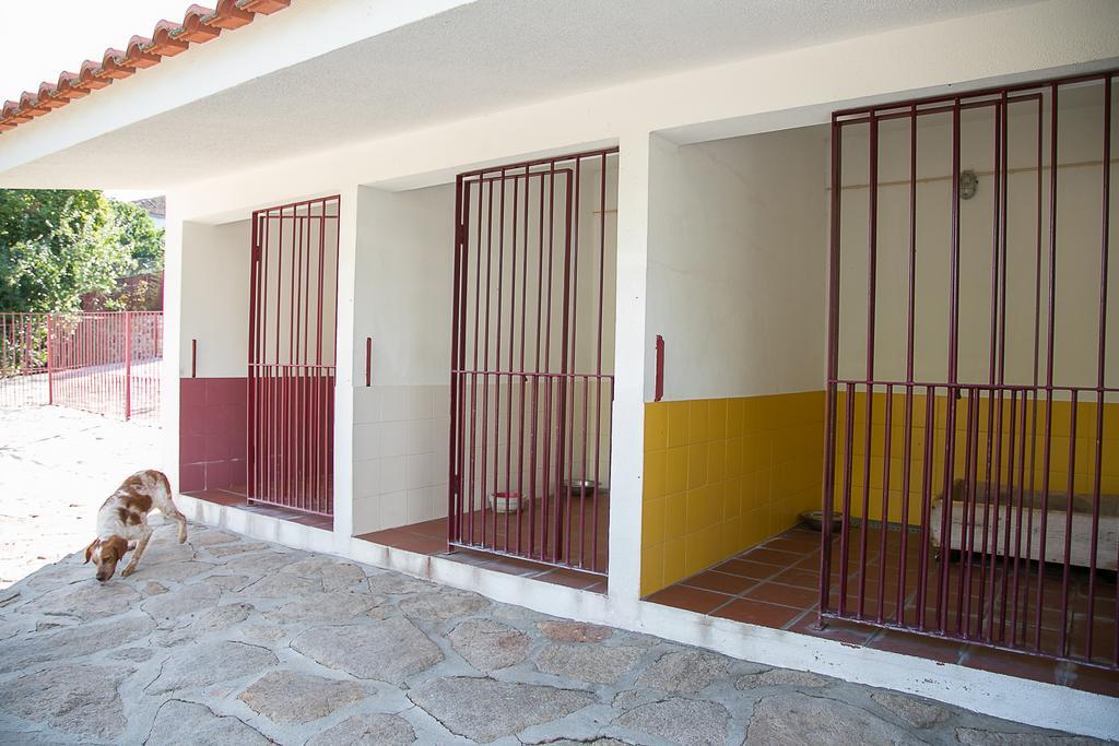 Solar Dos Almeidas - Turismo De Habitacao Trancoso Exterior photo